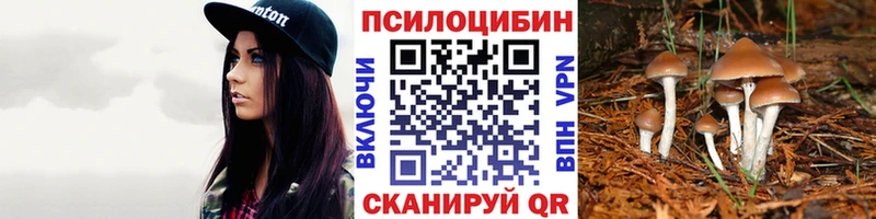 купить наркотики сайты Новая Усмань Галлюциногенные грибы мицелий